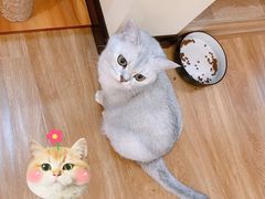 -滚猫咖啡·猫咖·猫友好撸猫(未来城店)