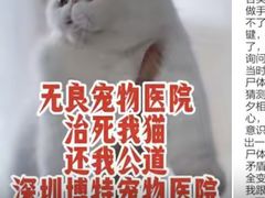 -博特宠物医院24h犬猫全科.骨科·异宠