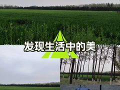 -汉长安城未央宫国家考古遗址公园