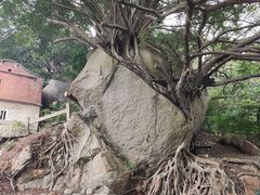 -草庵摩尼教遗址公园