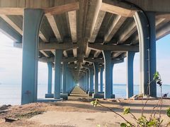 -宝安西湾红树林湿地公园