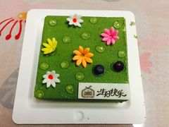 -欧佩拉(段家坝店)