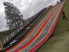 -黄海国家森林公园