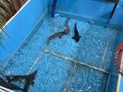 -金明姬铁锅炖(东坝店)