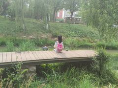 -龙洞风景区-藏龙涧