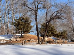 -北京野生动物园