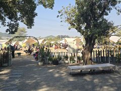 -长洲岛都市农业公园