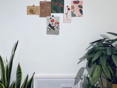 -隹木咖啡馆(宝龙广场店)