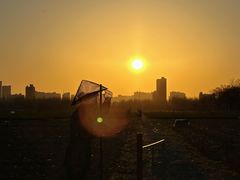 -汉长安城未央宫国家考古遗址公园