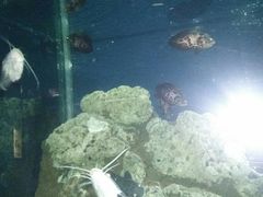 -苏州海洋馆