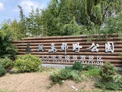 -上海长兴岛郊野公园