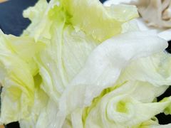 生菜-新乡杨记红焖羊肉火锅(天坛南门店)