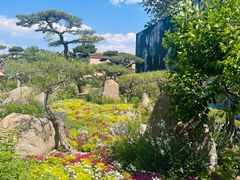 -罗红摄影艺术馆