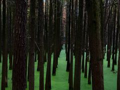 -青山湖景区