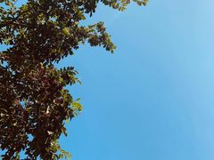 -碧桂园润杨溪谷温泉酒店