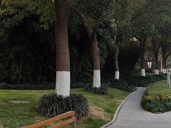 -荷风细雨·中国茶宴(碧云店)