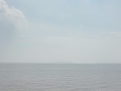 -瀛洲公园