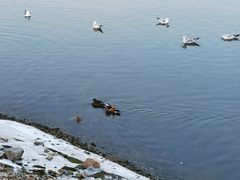 -大连老虎滩海洋公园