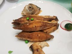 -新吉士·上海菜(浦东LCM置汇旭辉店)