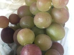 -马陆小张葡萄园农家乐