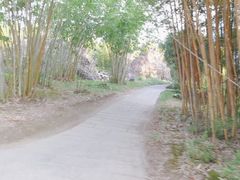 -福建鲤鱼洲酒店