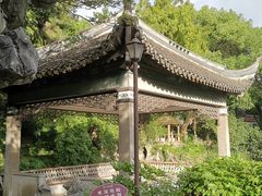 -叶家花园