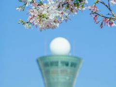 -狐尾山公园