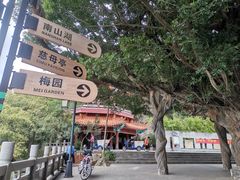 -神光山国家森林公园