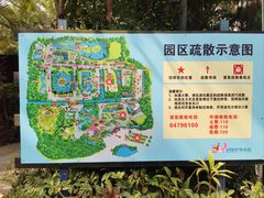 -广州长隆飞鸟乐园
