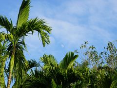 -红色娘子军纪念园