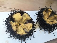 -海胆小馆(东北水饺·春柳店)