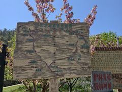-金龙寺国家森林公园