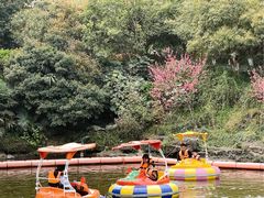 -杭州少年儿童公园