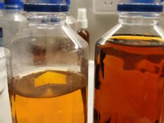 -百顺国际健身会所(青枫墅园店)