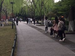 -乌江鱼杭帮菜(西湖店)