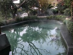 -苏州湾王焰温泉度假酒店