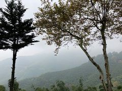 -莫干山风景区