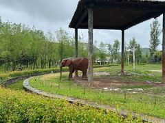 -哈尔滨北方森林动物园