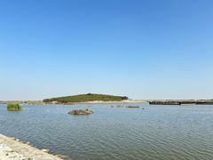 -南大港湿地风景区