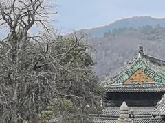 -报恩寺(平武县)