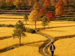 -塔川景区