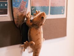 -triple coffee叁杯咖啡