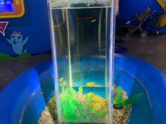 -欢乐海岸海洋奇梦馆