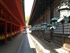 -奈良公园