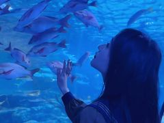 -太平洋海底世界