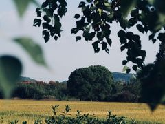 -良渚古城遗址公园