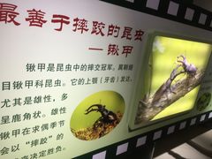 -上海昆虫博物馆
