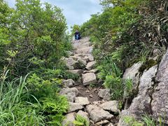 -东白山