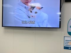 -美联众合动物医院·24h京西诊疗中心
