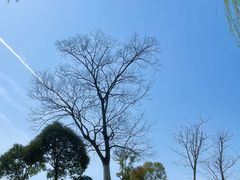 -钟山体育运动公园
